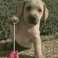 imagenes locas jejjeejej!!!!!!